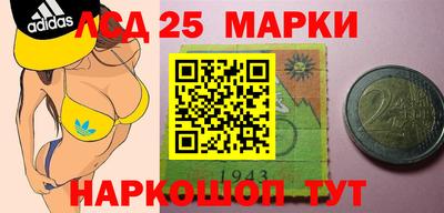 гидропоника Кингисепп
