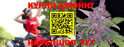 гидропоника Кингисепп