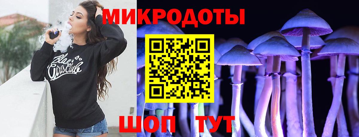 Галлюциногенные грибы GOLDEN TEACHER  Вход с VPN  Буйнакск 